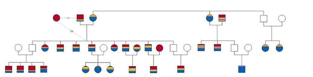 Histogenes Geary 2