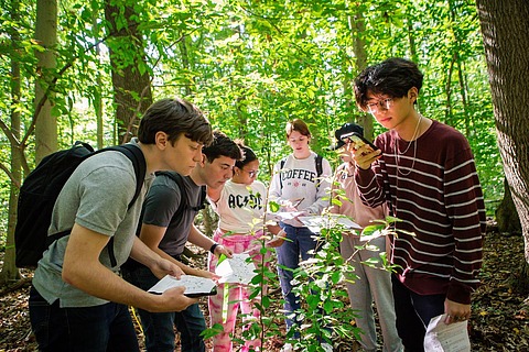 PU in IAS Woods